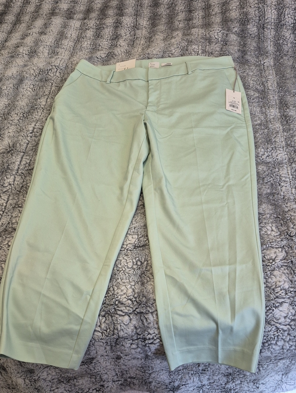 a new day 🖤 Mint Green Cropped Dress Pants (1001)